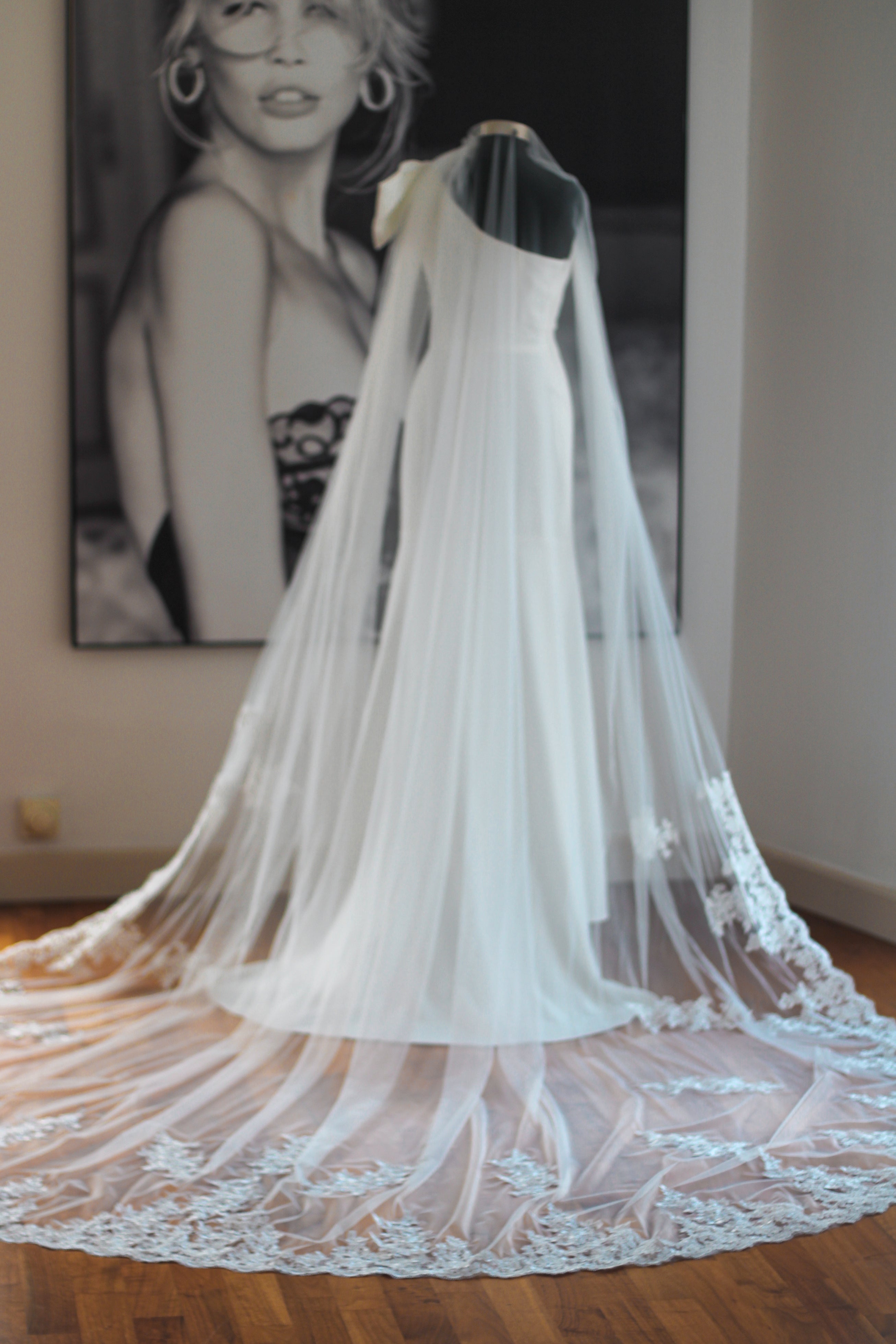 Chantilly Lace Cathedral Wedding Veil