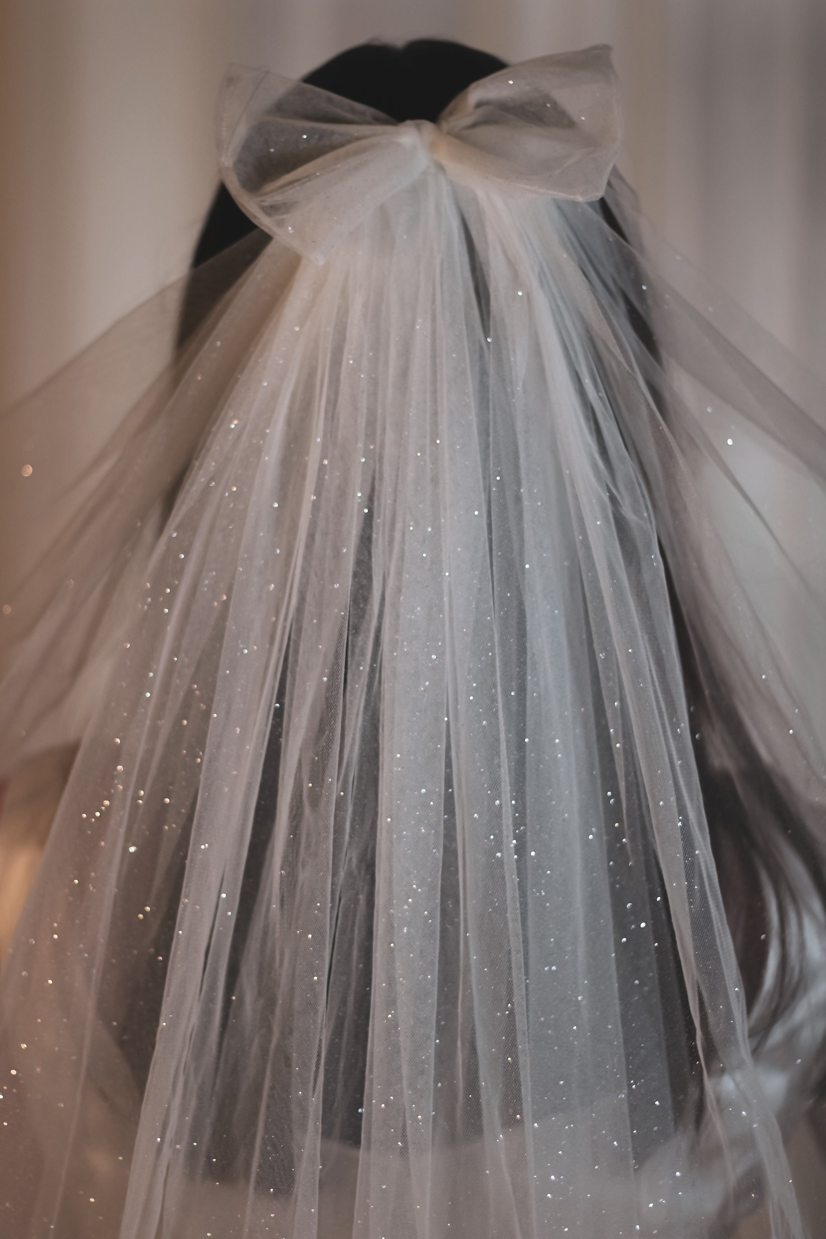 Sparkly Short Wedding Veil