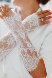 Chantilly Lace Wedding Sleeves