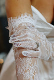Chantilly Lace Bridal Gloves
